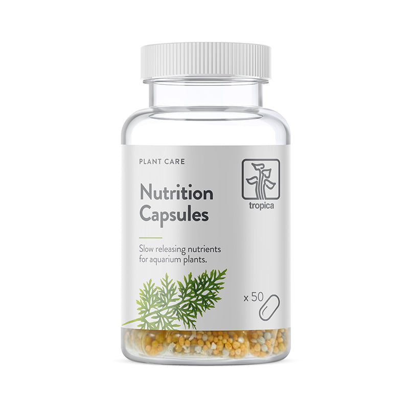 Nutrition Capsules