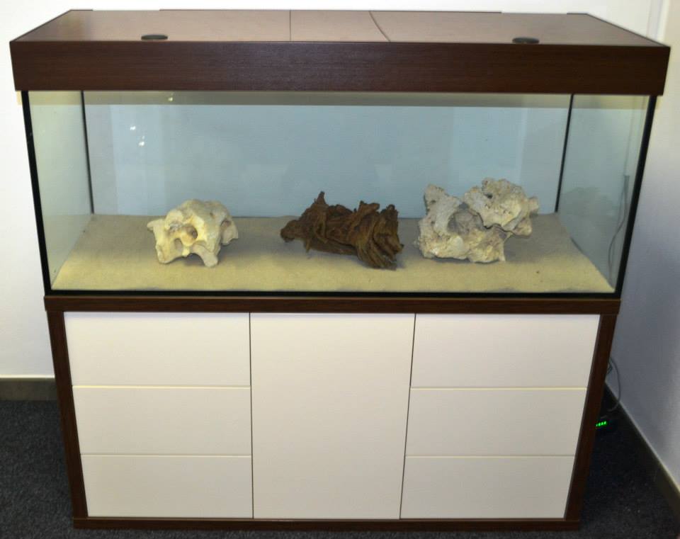 Aquarium nach Maß