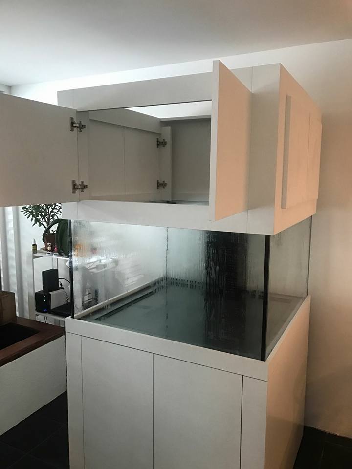 Aquarium nach Maß