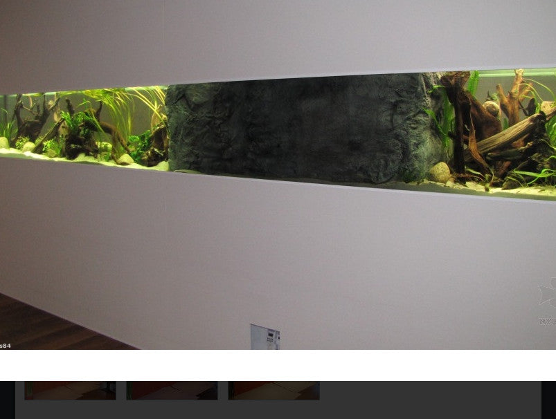 Aquarium nach Maß