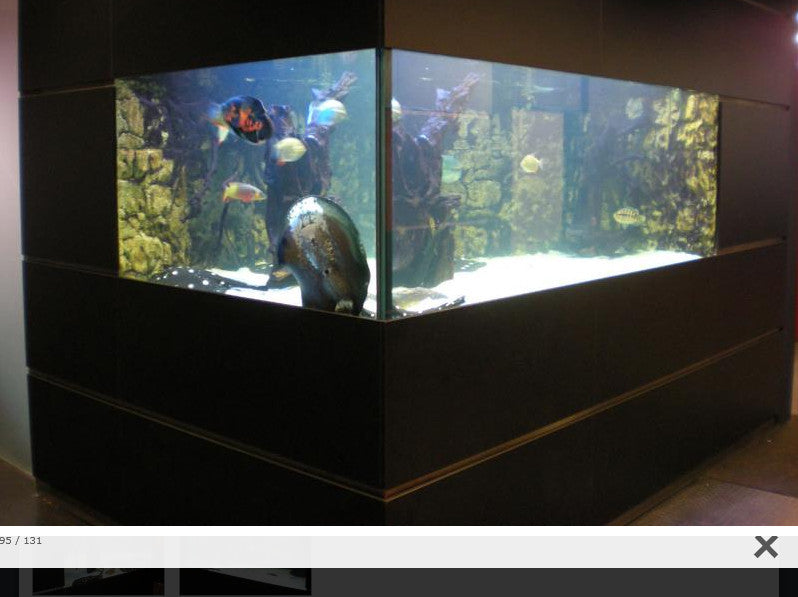 Aquarium nach Maß