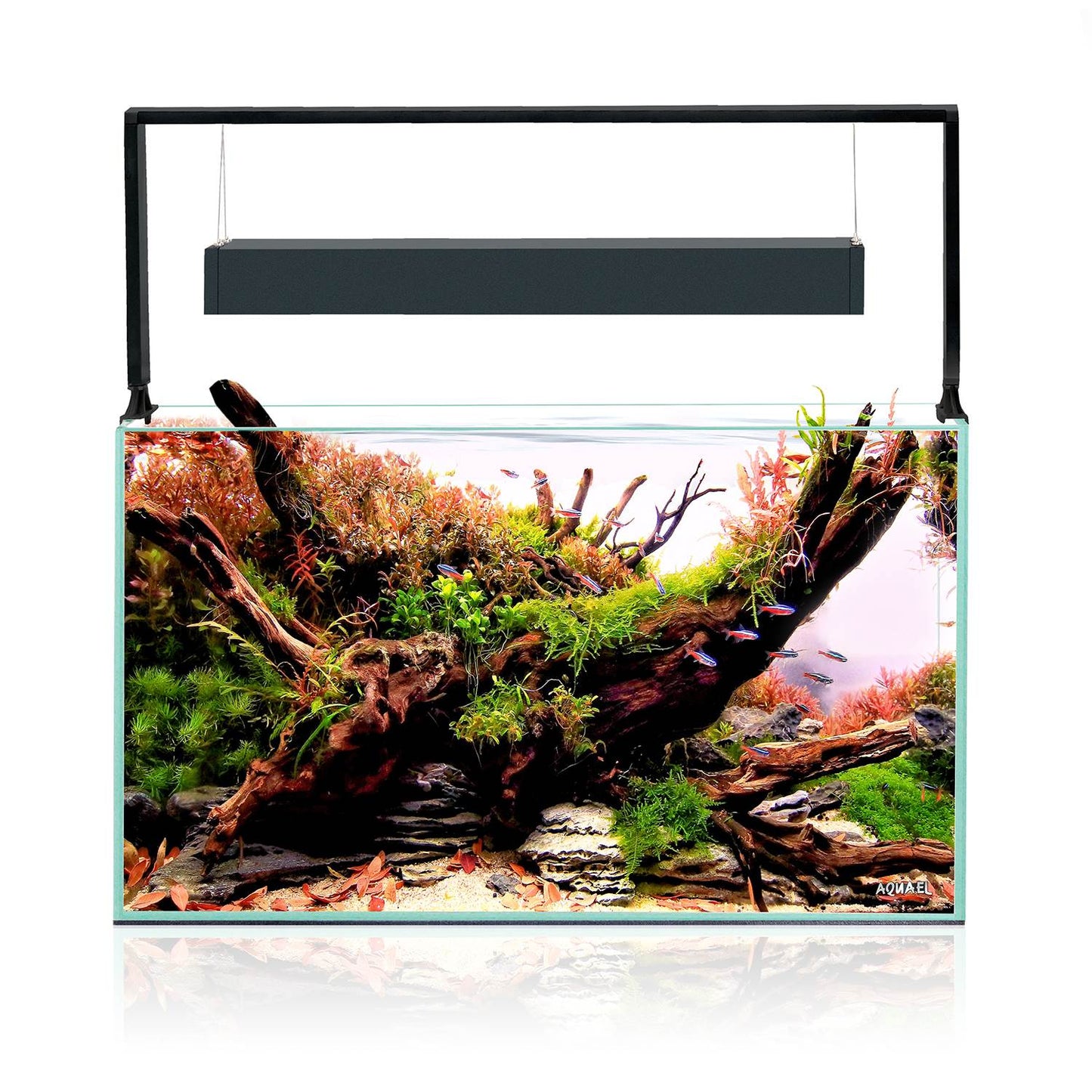 AQUAEL ULTRASCAPE SET