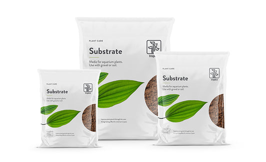 Substrate