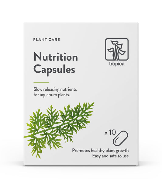 Nutrition Capsules