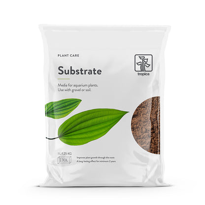 Substrate