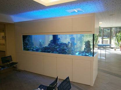 Aquarium nach Maß