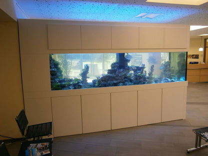 Aquarium nach Maß