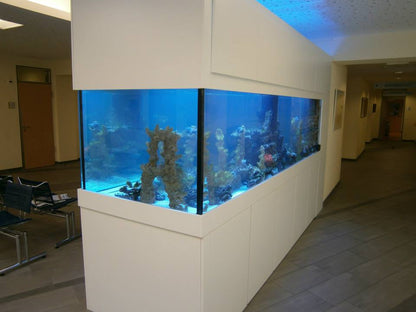 Aquarium nach Maß