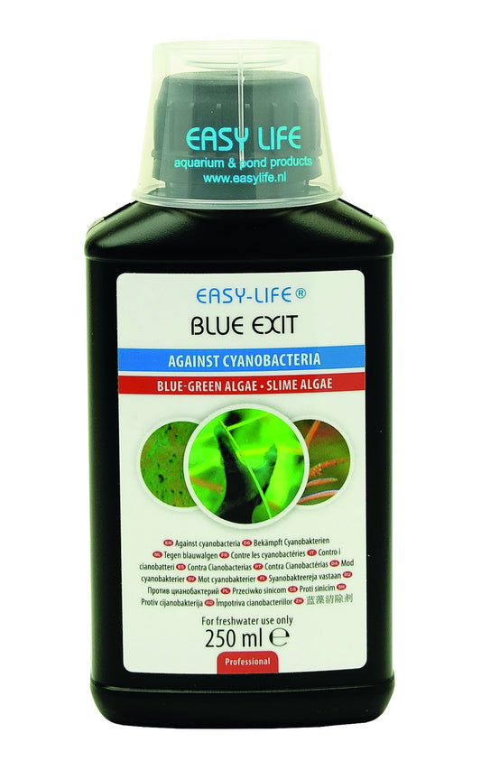 Easy Life Blue Exit gegen Blaualgen